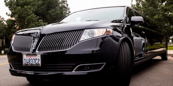 12 pax mkt limo grill