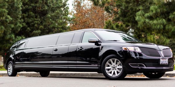 12 pax mktlimo sideprofile best